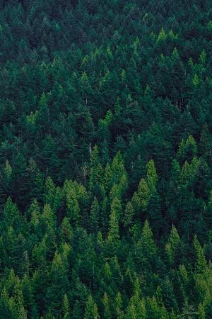 3 - YGWOMdo.jpg Android HD Nature Wallpapers